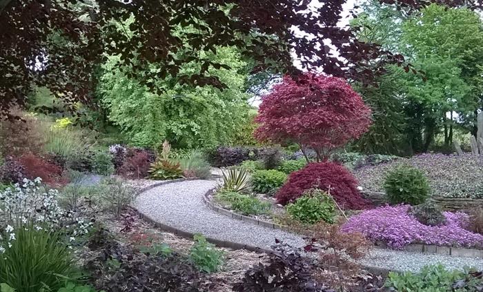 The curve of the round beds that make up the red garden are filled with red leaved shrubs and purple and white flowering perennials.